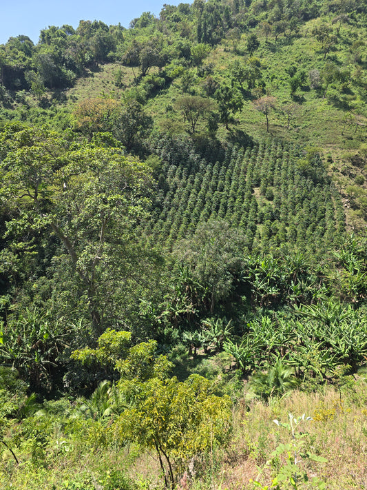 KENYA