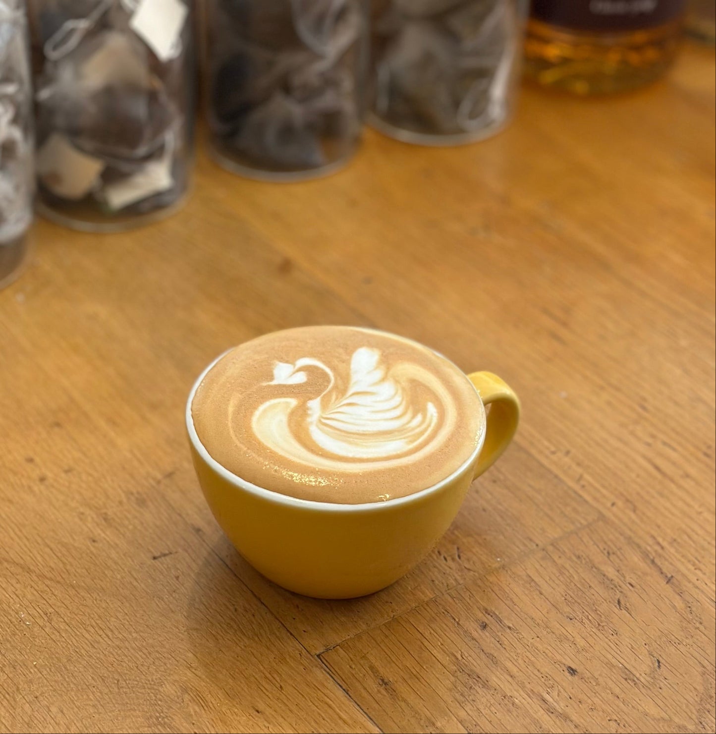 DIVINE COFFEE SUBSCRIPTIONS