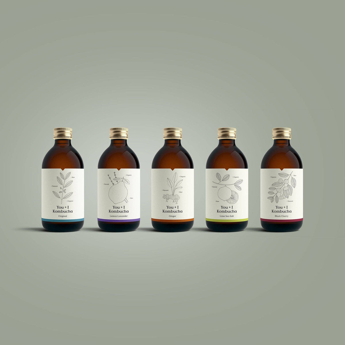 You + I Kombucha