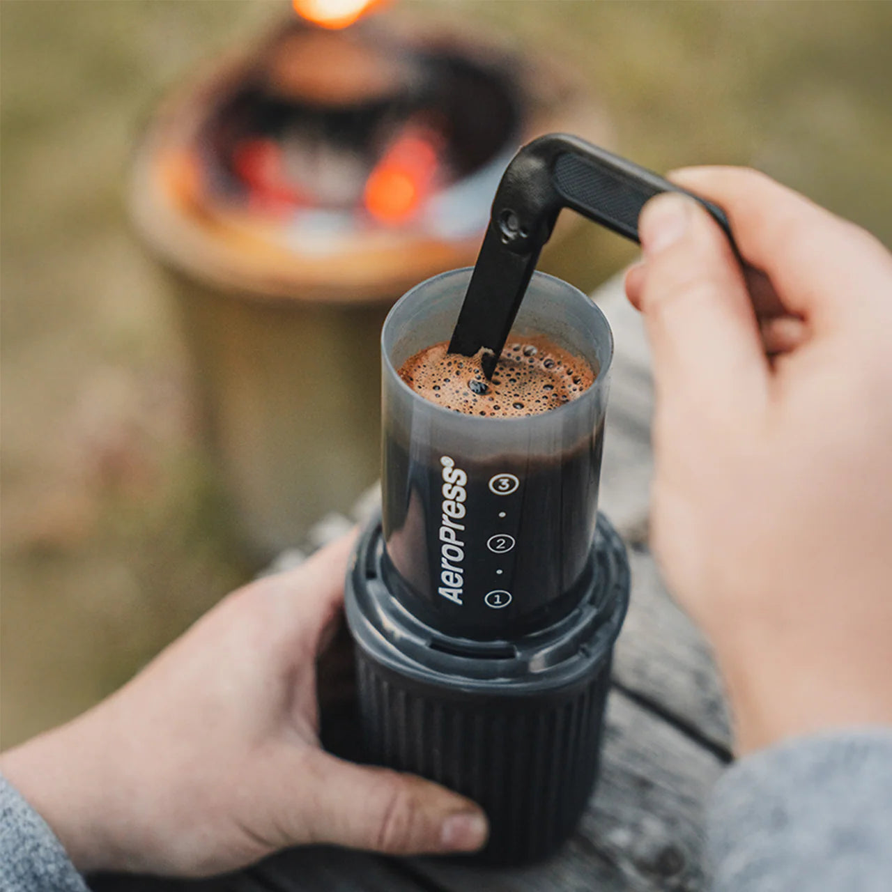 AeroPress Go
