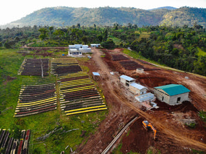 ETHIOPIAN NATURAL - BUNCHO STATION