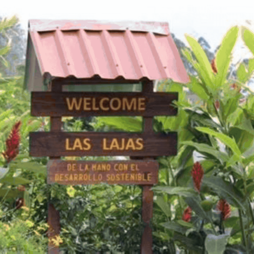 COSTA RICA - LAS LAJAS - ANAEROBIC HONEY