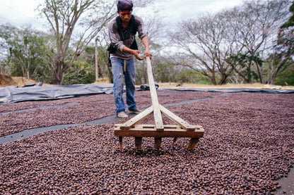 NICARAGUA - BETHANIA HORTENSIA - WASHED