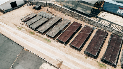 NICARAGUA - BETHANIA HORTENSIA - WASHED