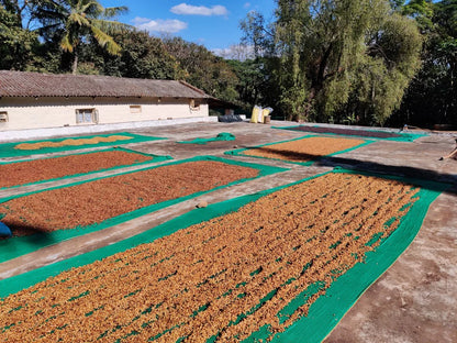 INDIA CRYSTAL VALLEY - HONEY PROCESS